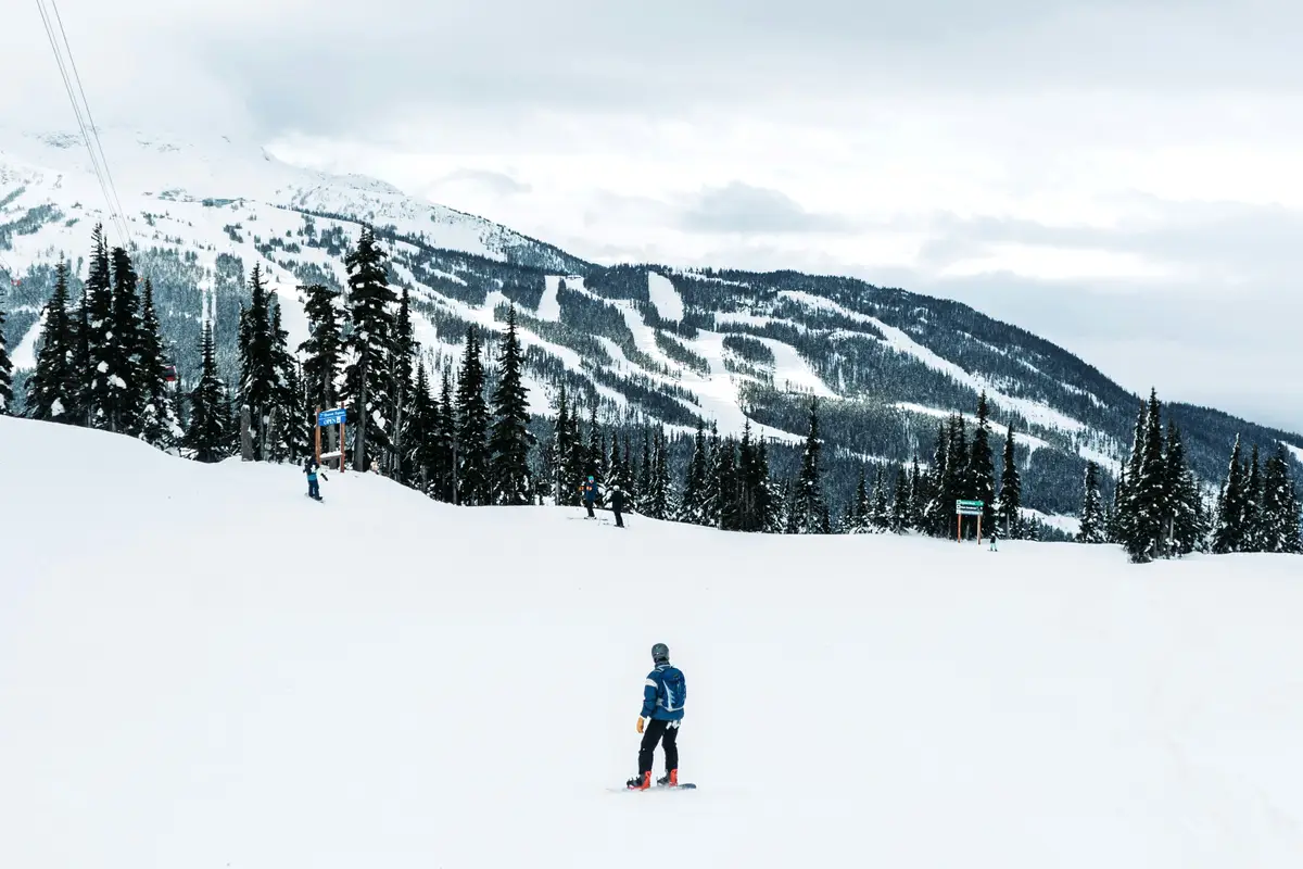 14 firm w piaskownicy