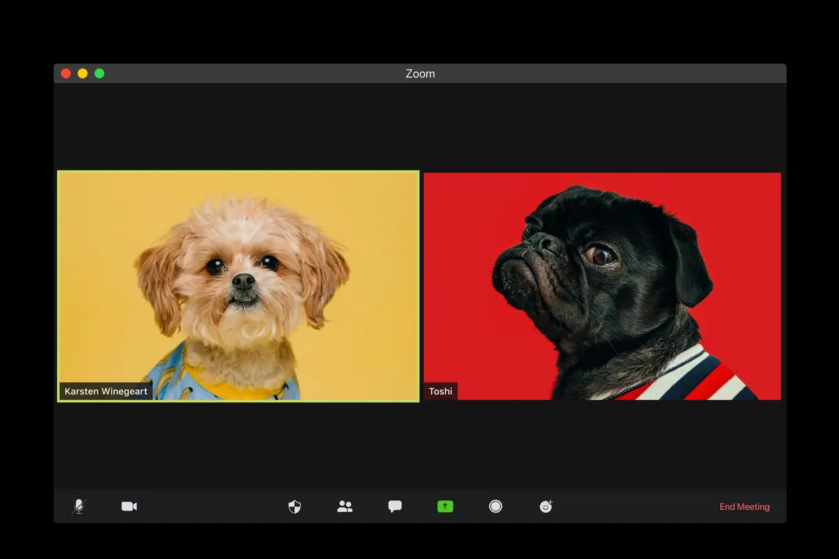 43 dni oszczędności i konkretne zyski